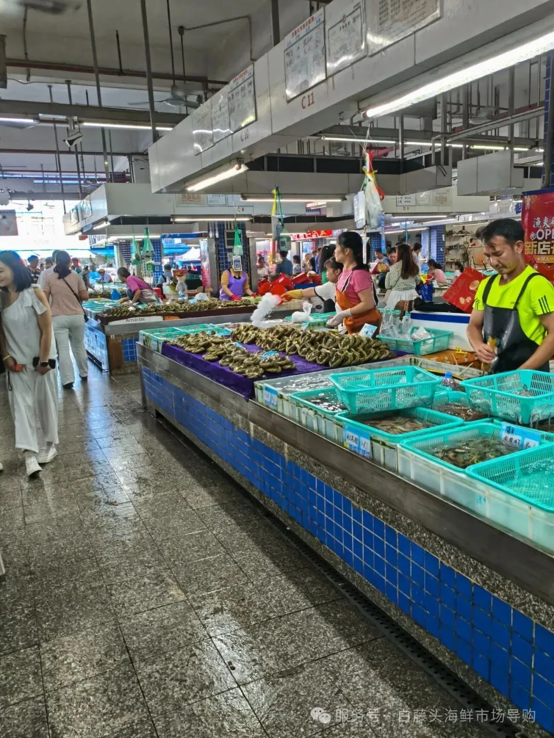 寻味珠海斗门白藤头海鲜批发市场:山坑螺,来自山涧的“盘中明珠”!揭开舌尖上的诱惑:山坑螺为何备受青睐的原因!