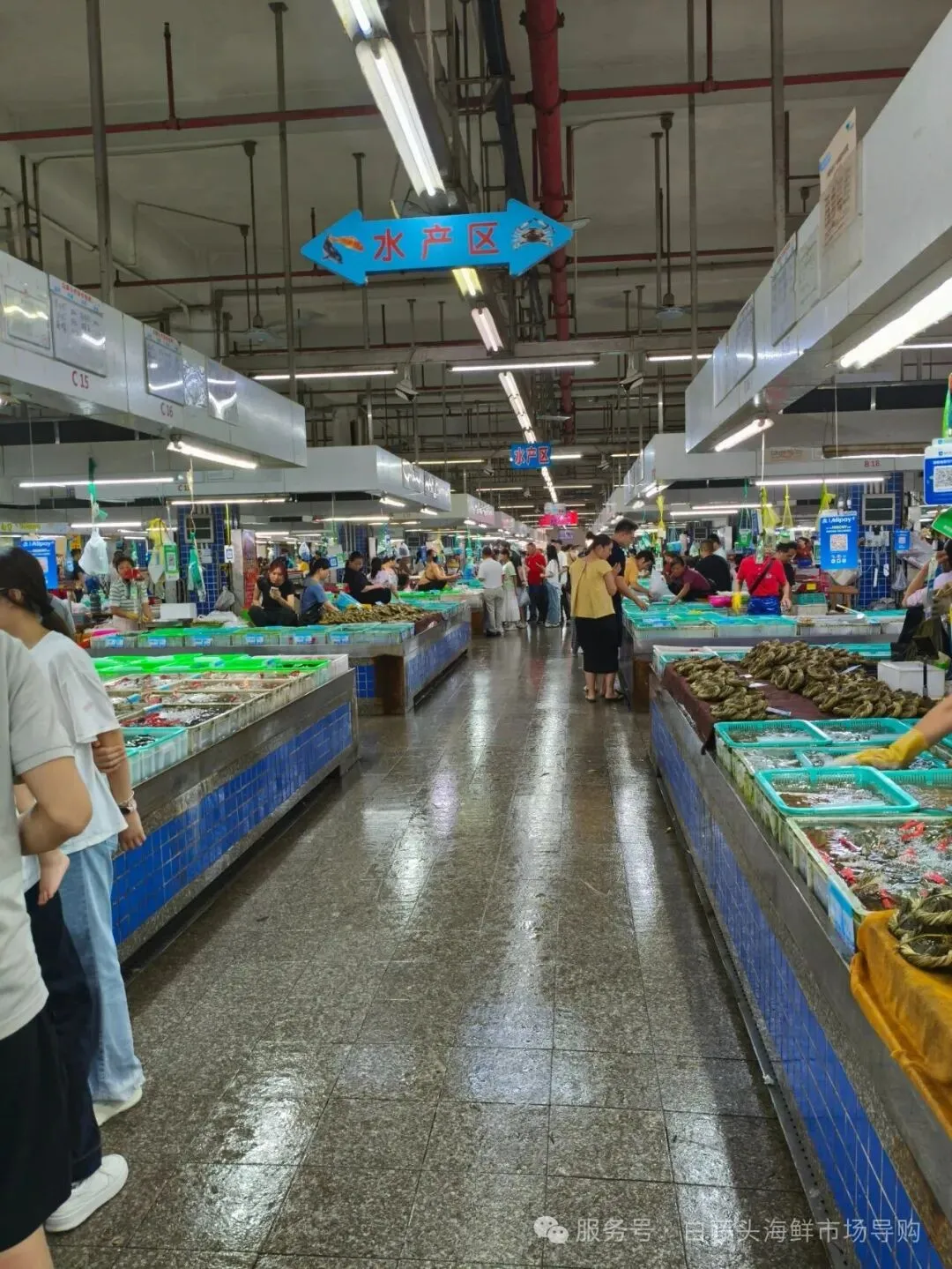 寻味珠海斗门白藤头海鲜批发市场:山坑螺,来自山涧的“盘中明珠”!揭开舌尖上的诱惑:山坑螺为何备受青睐的原因!