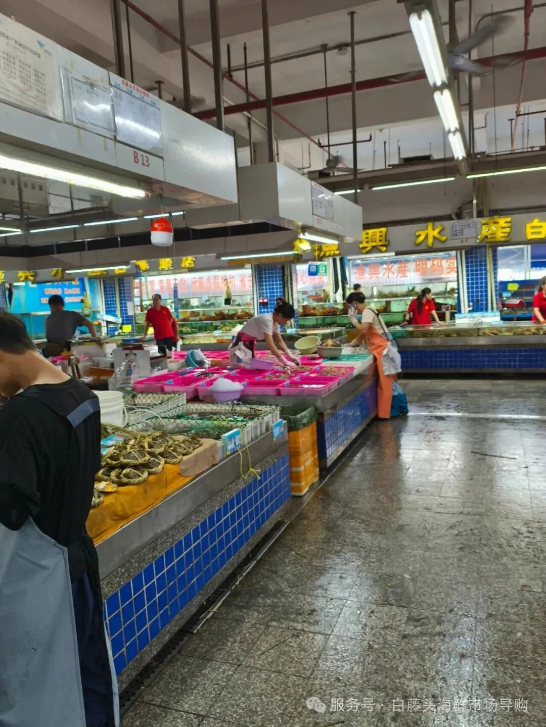 寻味珠海斗门白藤头海鲜批发市场:山坑螺,来自山涧的“盘中明珠”!揭开舌尖上的诱惑:山坑螺为何备受青睐的原因!