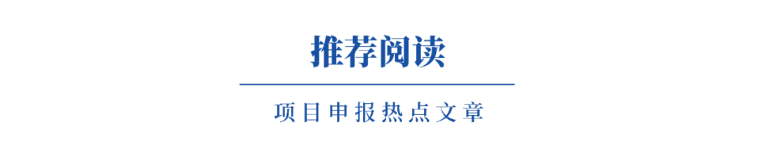 申报“小巨人”细分市场占有率1000字自证怎么写?三个案例手把手教你