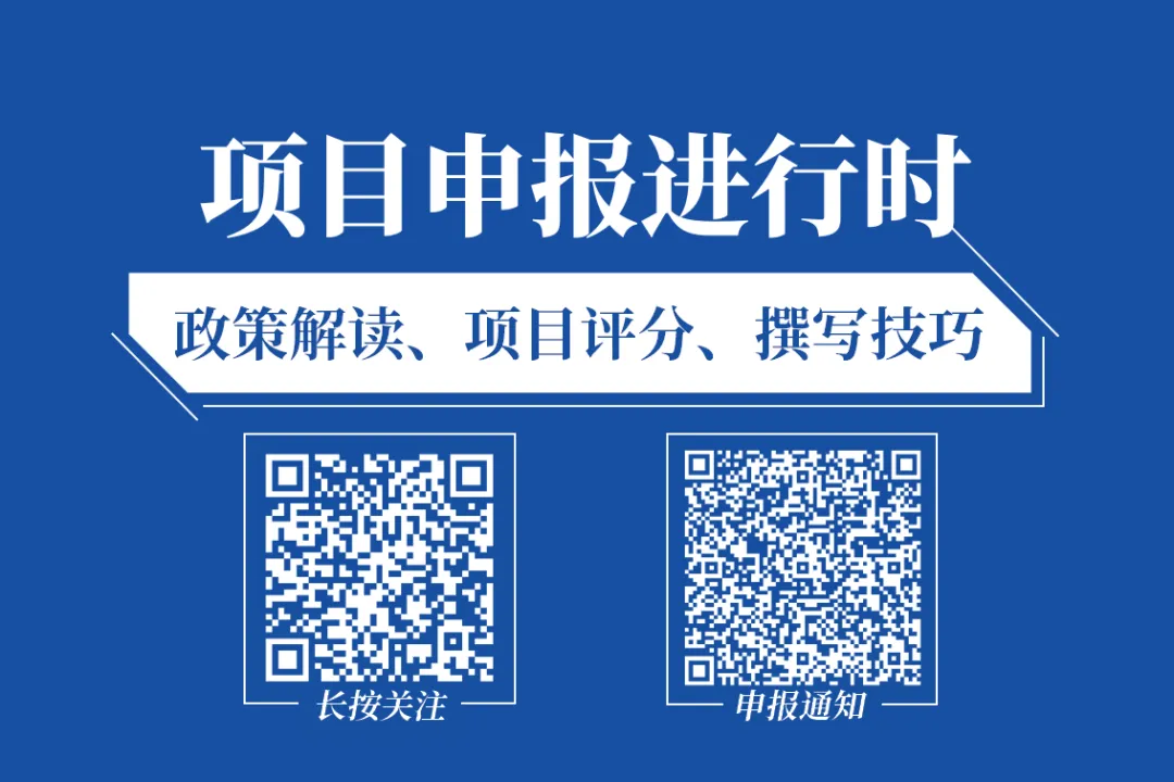 申报“小巨人”细分市场占有率1000字自证怎么写?三个案例手把手教你
