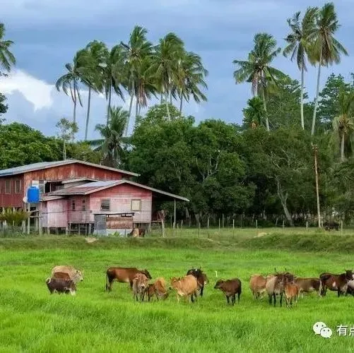 2026中国旅游AI营销白皮书{附下载}