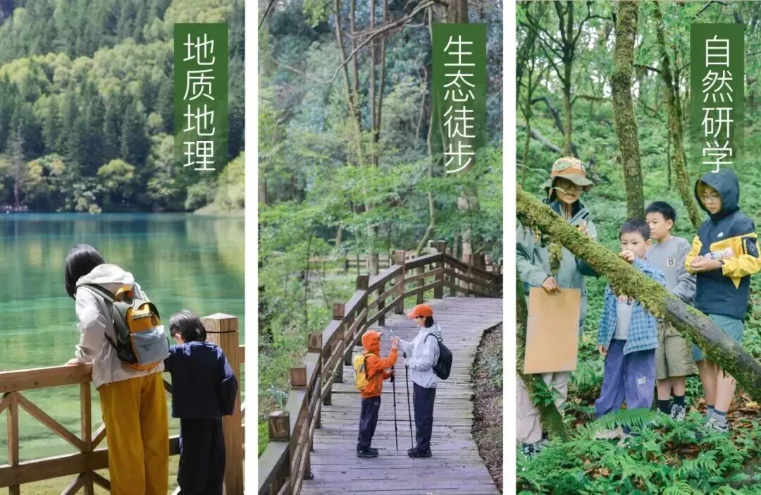 “今年的亲子研学市场,产品必须要改变.”