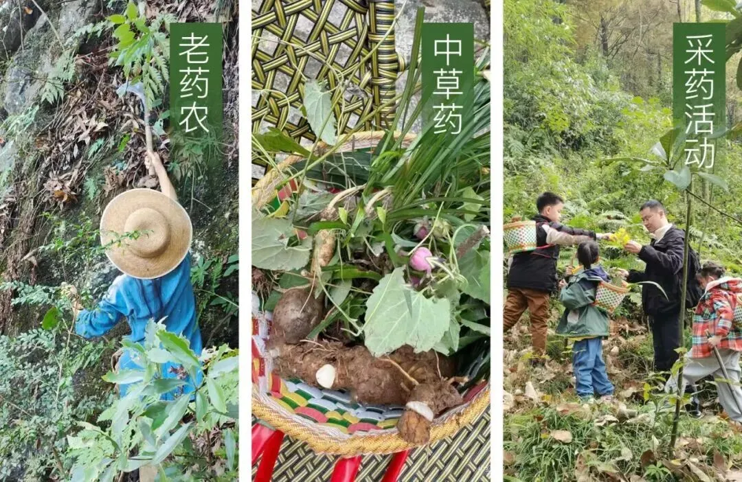 “今年的亲子研学市场,产品必须要改变.”