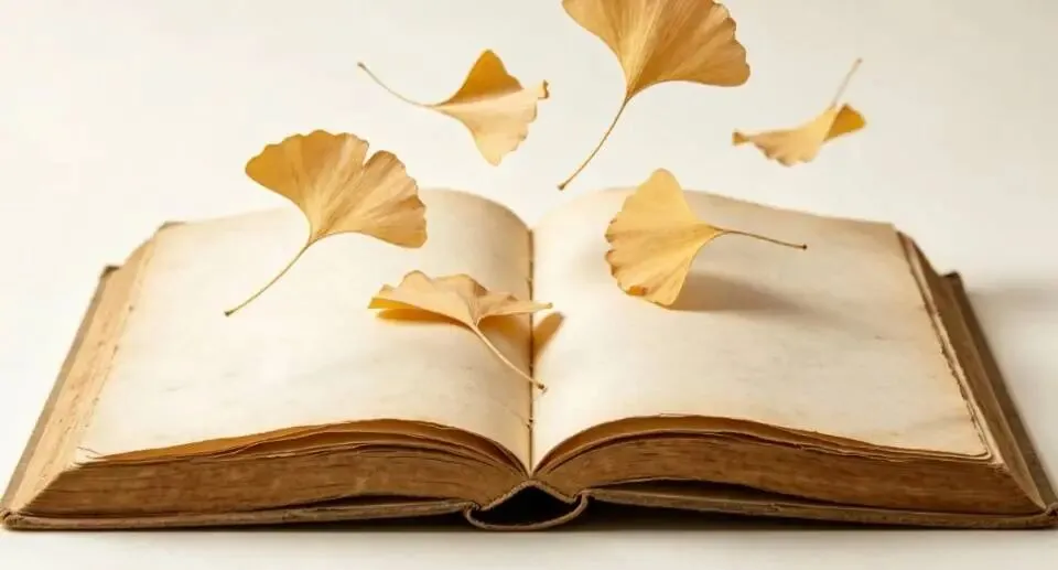 长线投资最致命的陷阱:不是市场波动,是你自己骗自己