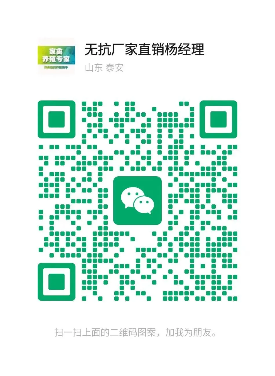 蛋价早报(4月20日)鸡蛋市场动态参考