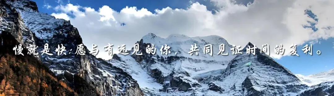 打破高风险偏见,长期复利碾压全市场的核心逻辑