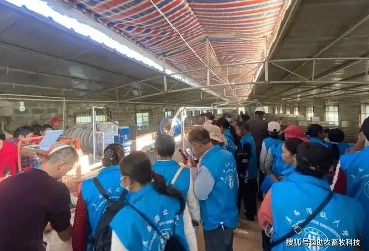 “饥饿营销”预计会卷土重来!2026年,我们会遭遇什么?