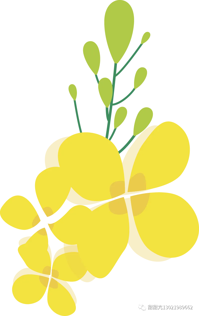 逯瑶老师丨《大客户销售商务礼仪》走进某云科技公司