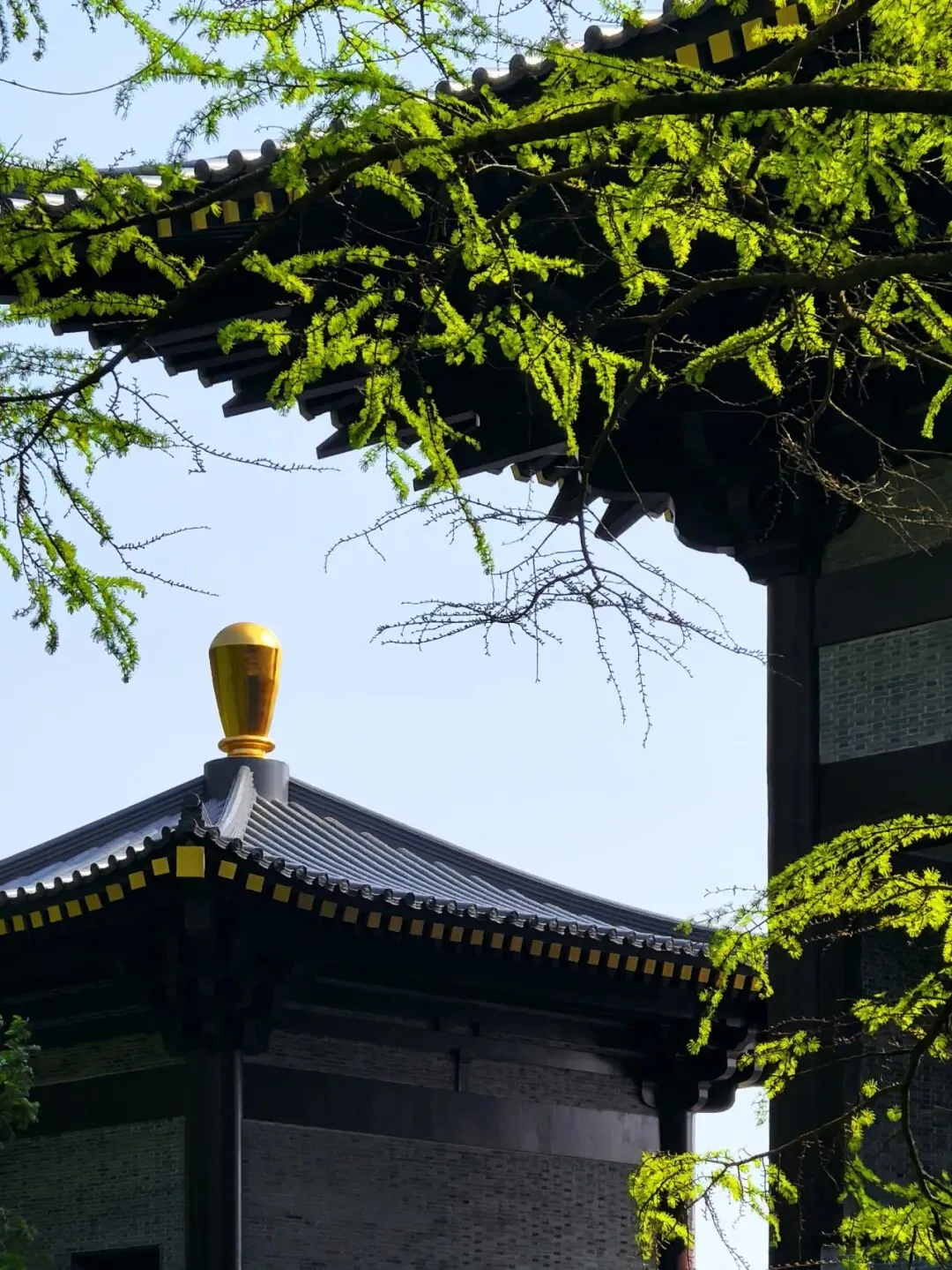 别再误判了!保险、安利这类合法营销,为何总被贴上“拉人头”标签?