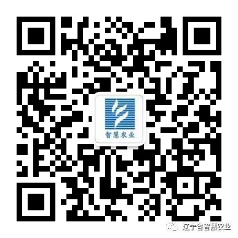 大连大樱桃“飞进”欧洲市场