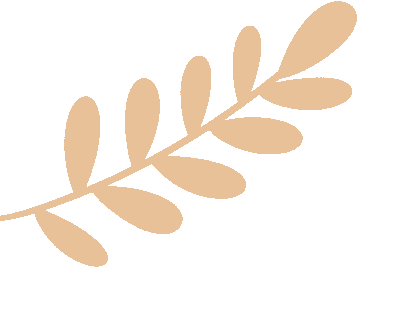 星星小课堂——名词解释|全国统一电力市场