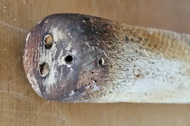 复合材料终端市场:工业应用