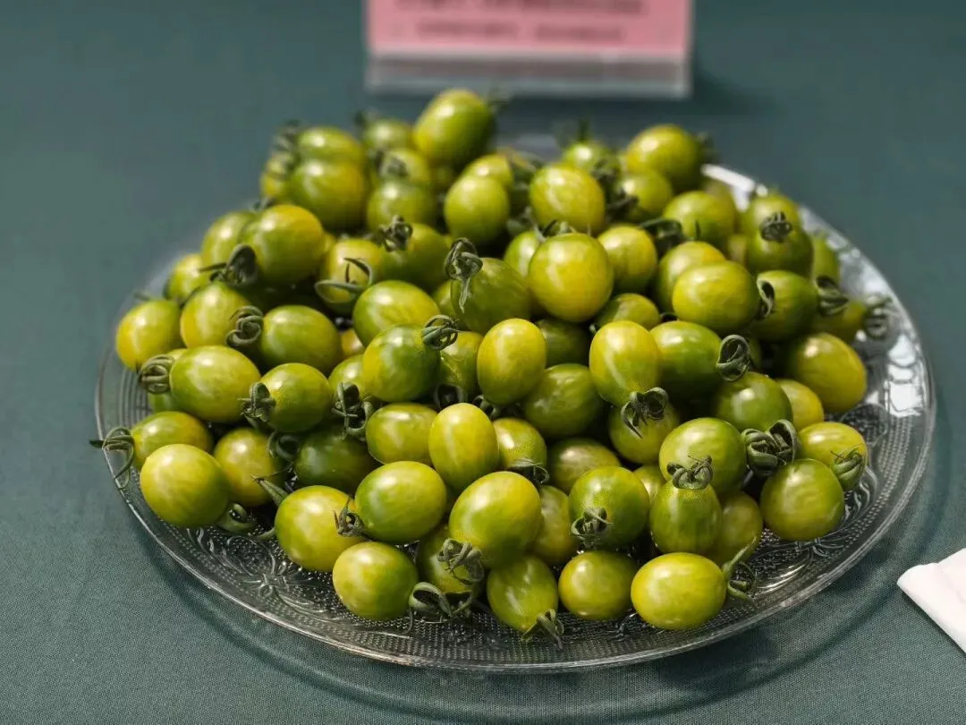 蜜蜂授粉市场很大