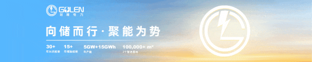 大储首超户储:德国储能市场的危与机