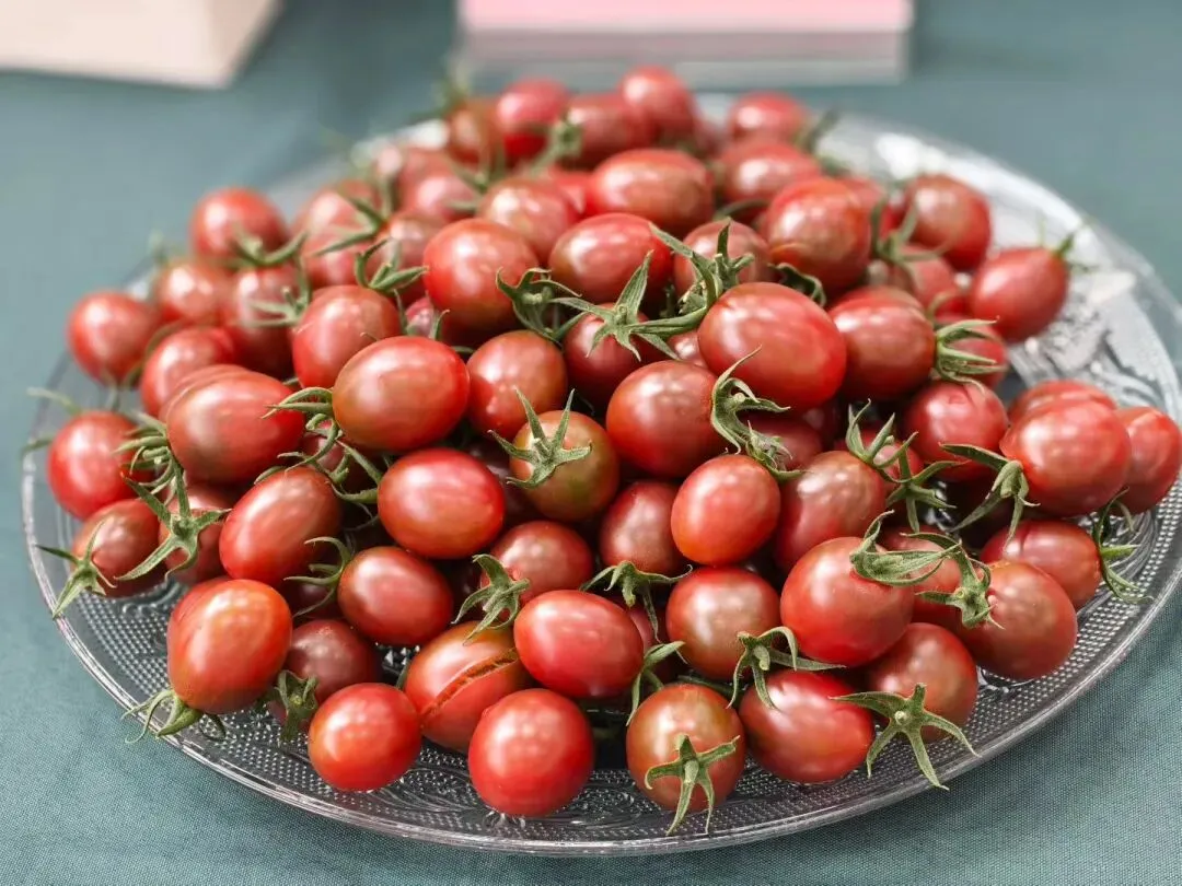 蜜蜂授粉市场很大