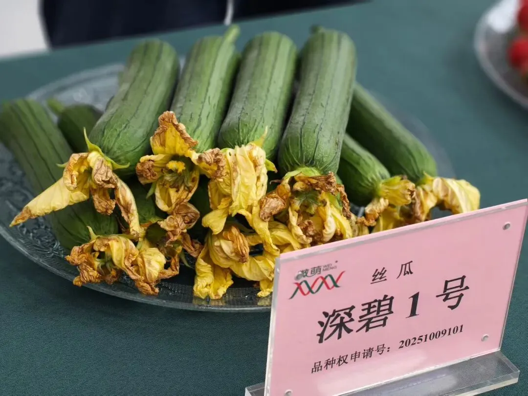 蜜蜂授粉市场很大