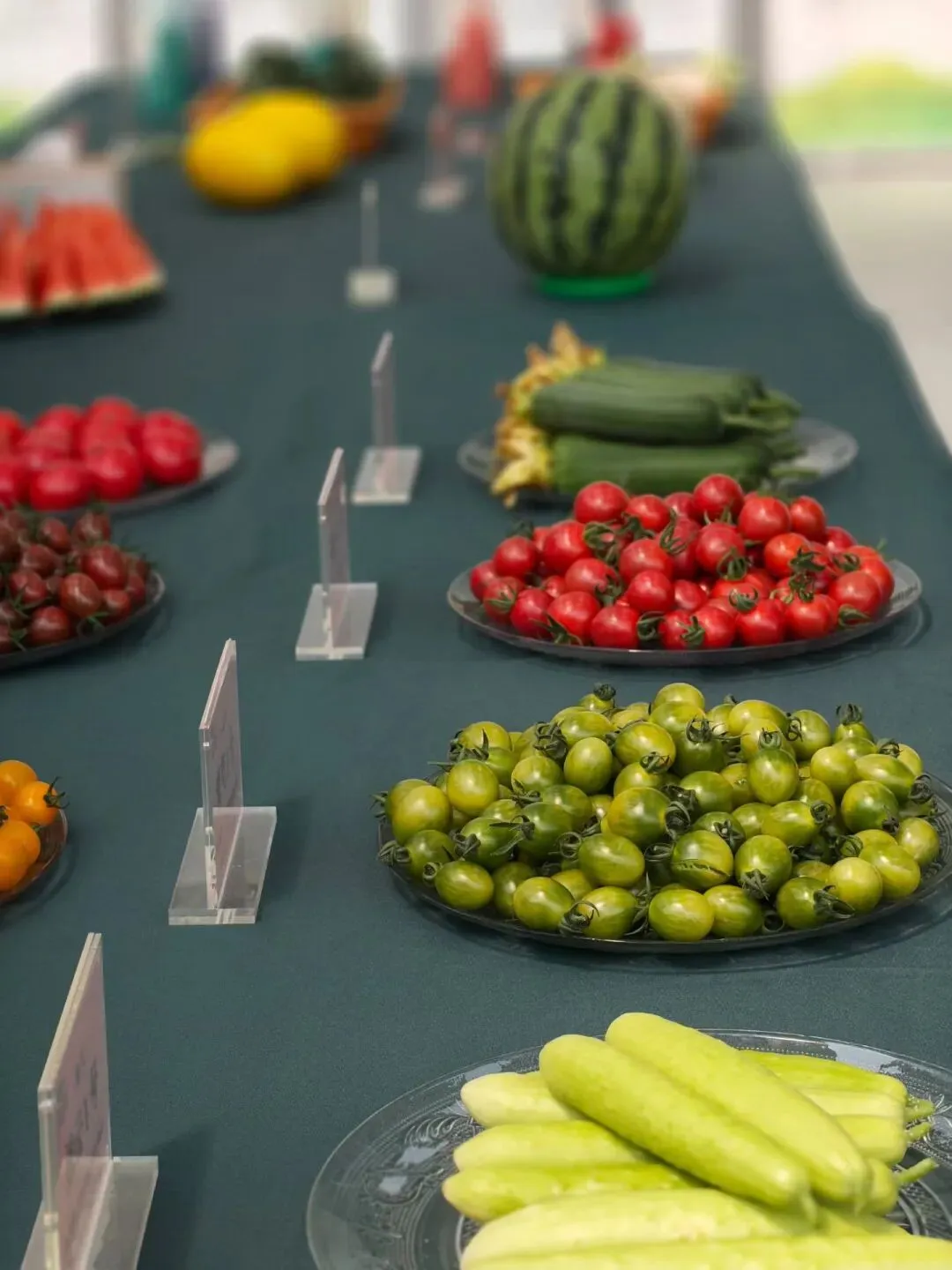 蜜蜂授粉市场很大