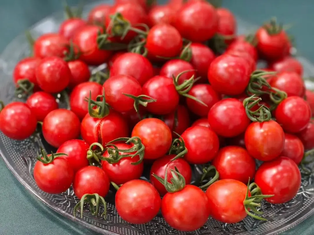 蜜蜂授粉市场很大