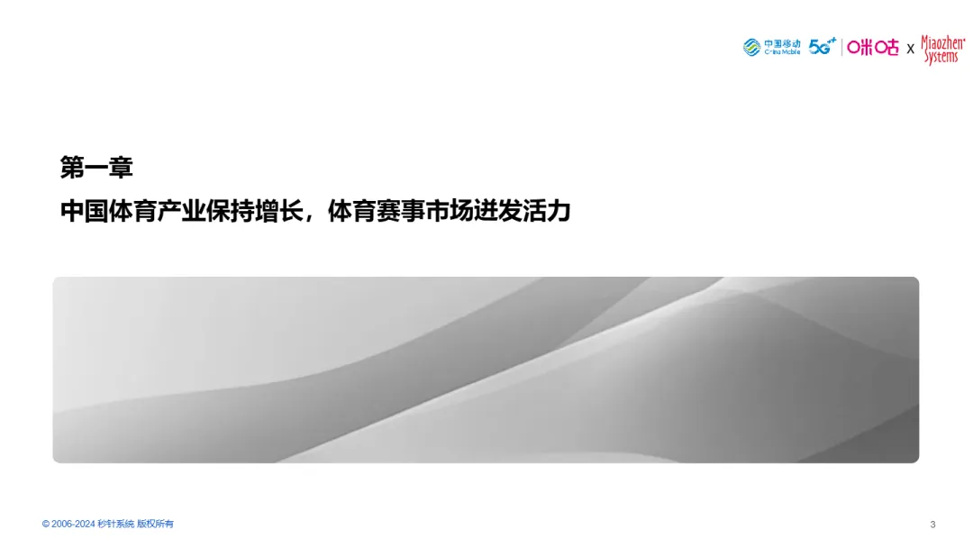 2024中国体育营销价值与策略研究报告