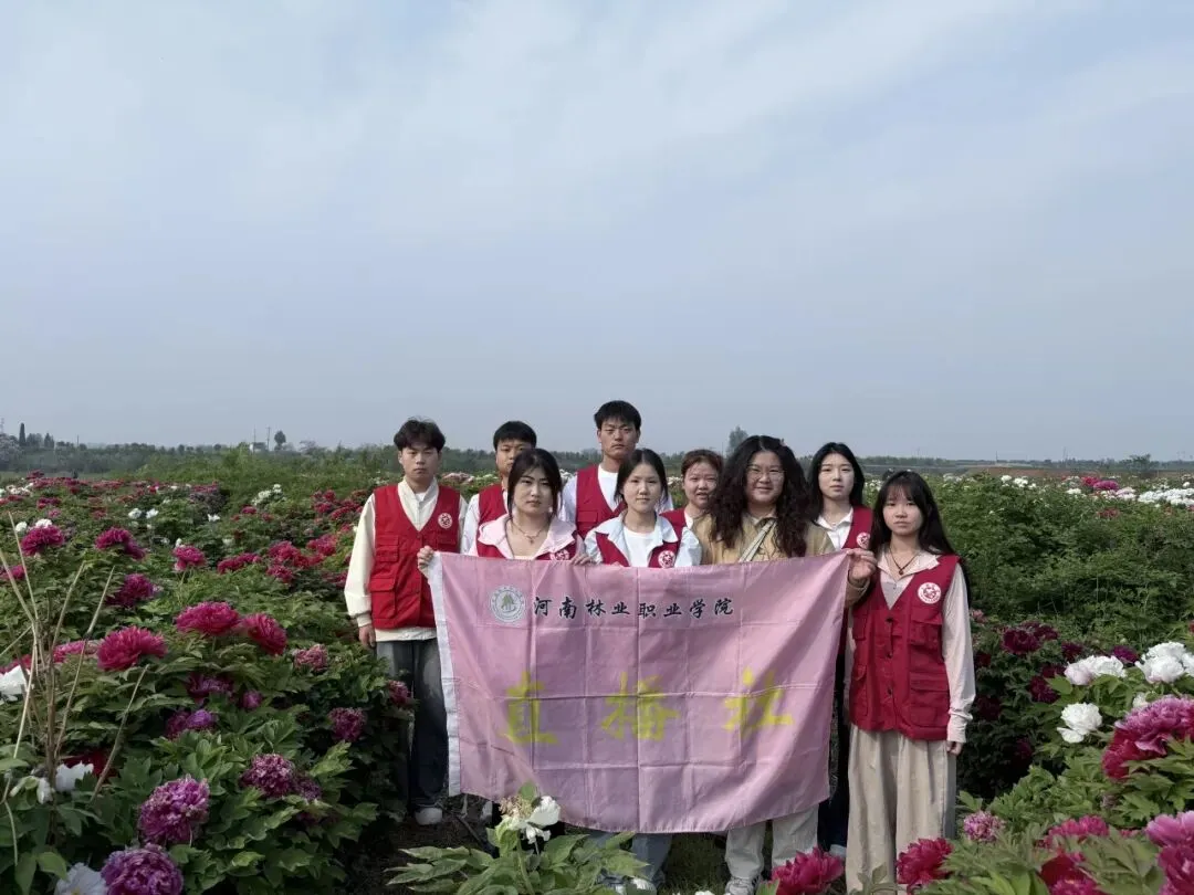 青春助农·花漾洛阳|直播社&营销联盟牡丹基地志愿行,共赴国色焕新之约