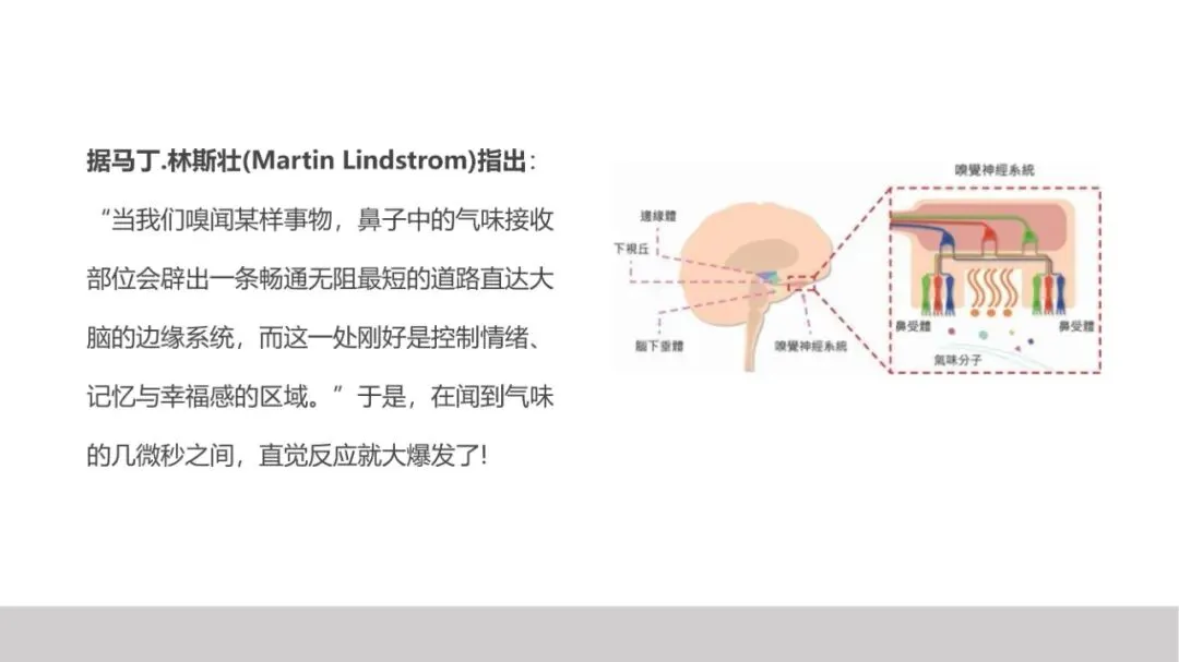 品牌策划丨打造现象级品牌的实战营销法则