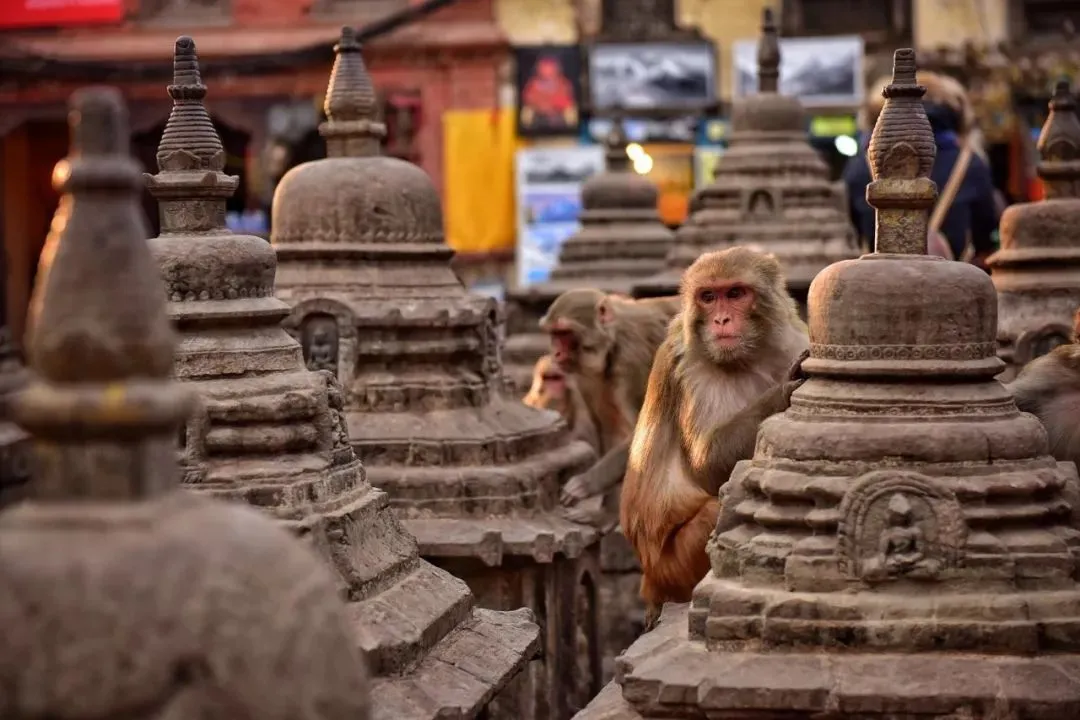 【超爆疯抢】2999元市场孤品!全景尼泊尔6月纯玩,仅前10名限时抢!