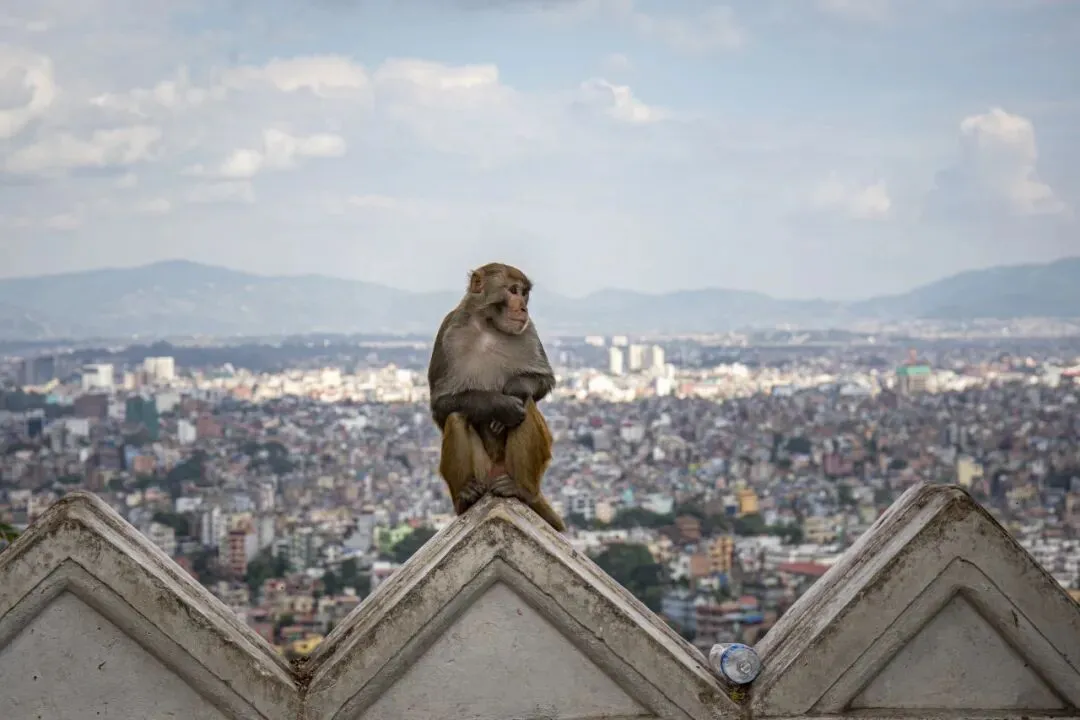 【超爆疯抢】2999元市场孤品!全景尼泊尔6月纯玩,仅前10名限时抢!