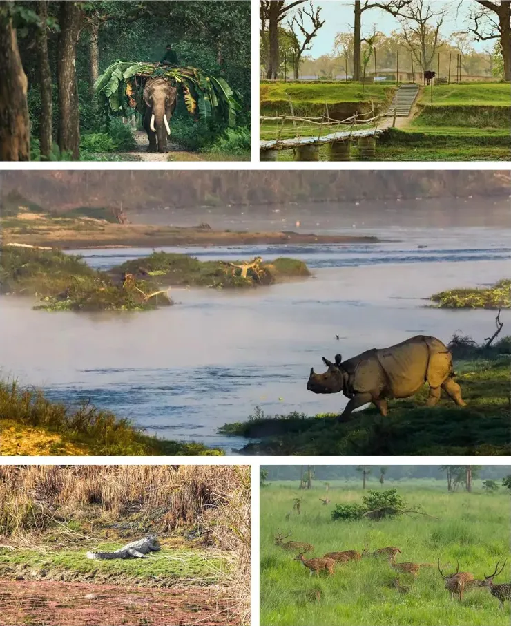 【超爆疯抢】2999元市场孤品!全景尼泊尔6月纯玩,仅前10名限时抢!