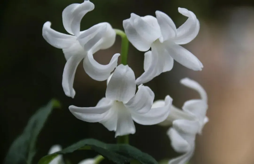 在相亲市场里,一共有以下四类人,看一个十年媒人的总结,准不准,看了再说