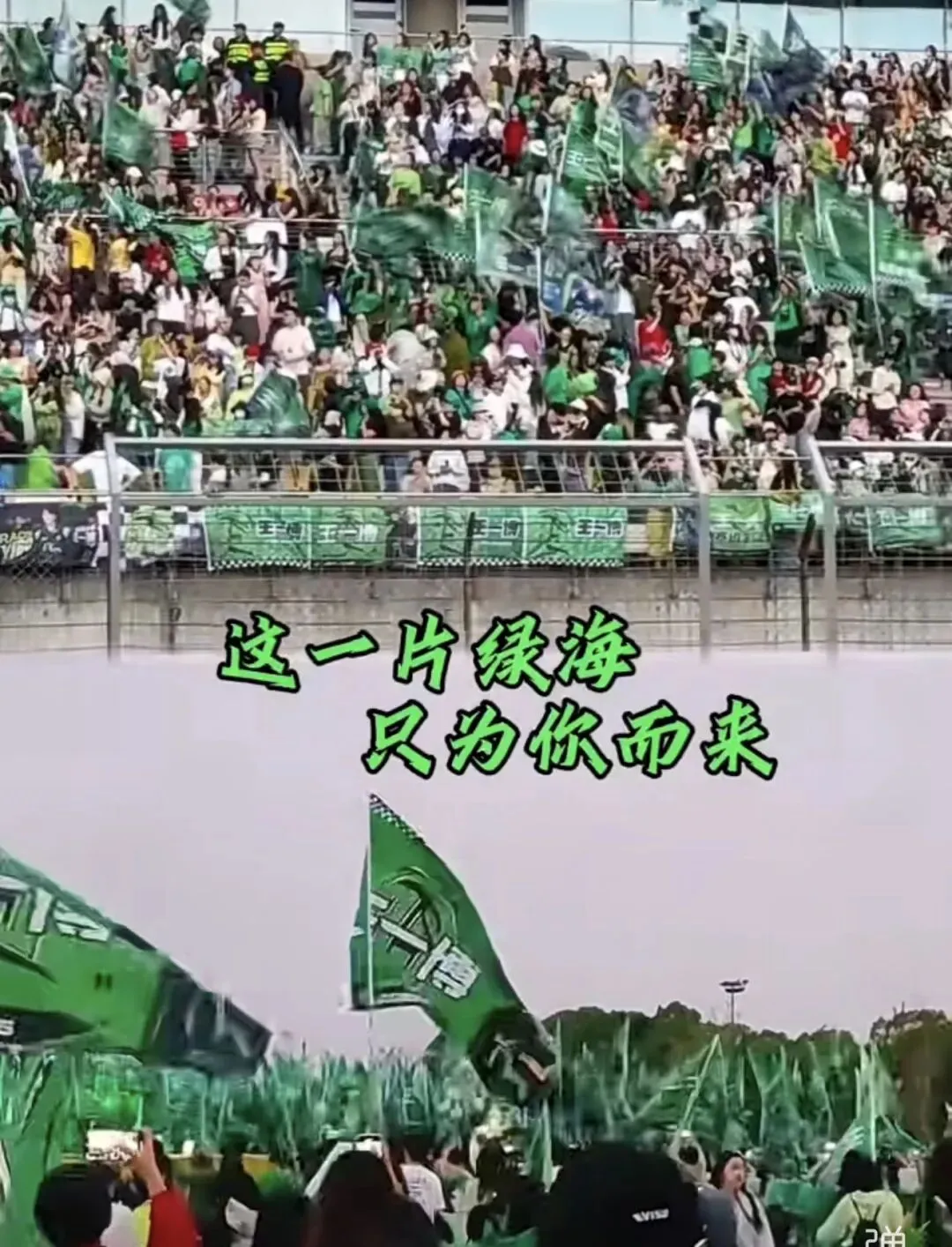 相机市场被王一博带火了?