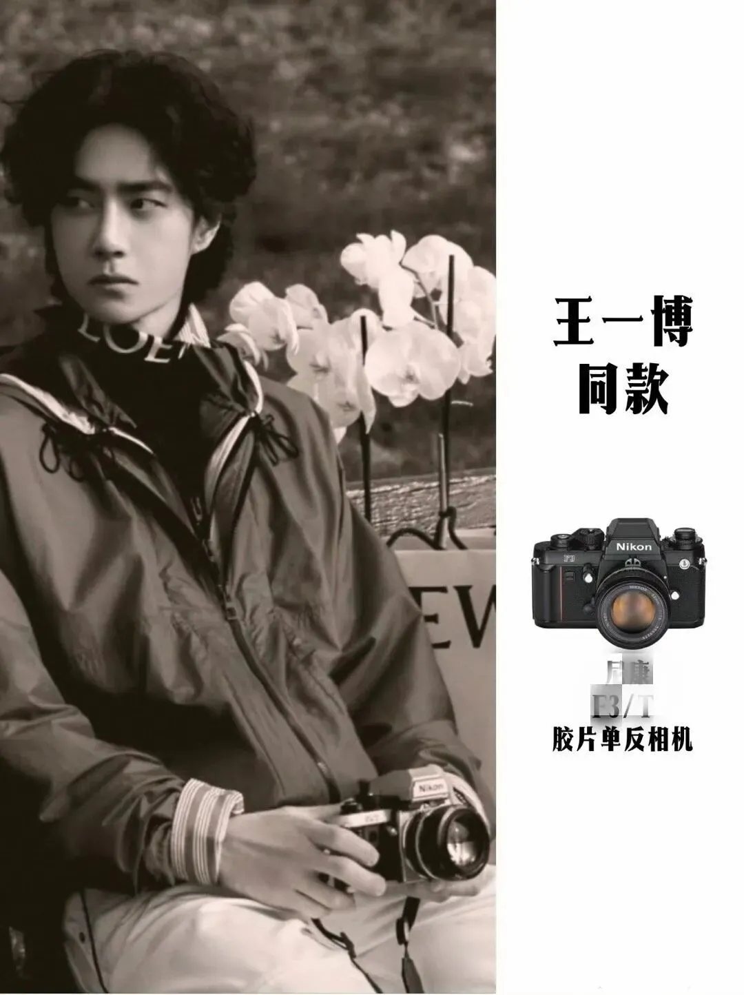 相机市场被王一博带火了?