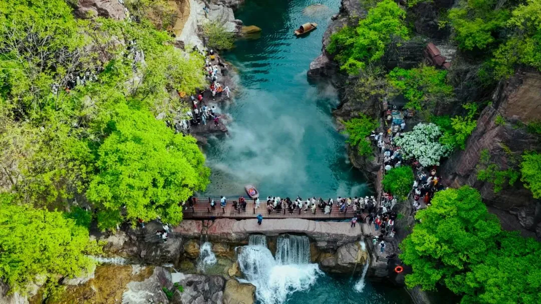 焦作再迎千人专列!春日市场持续火爆!