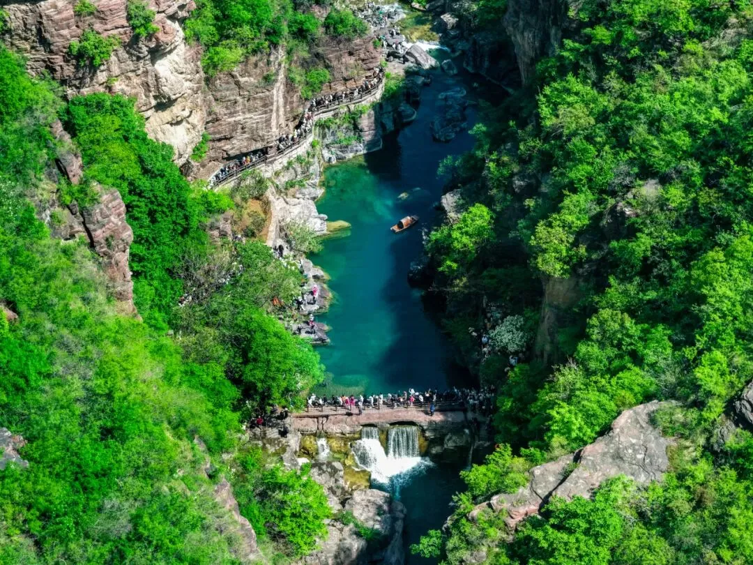 焦作再迎千人专列!春日市场持续火爆!
