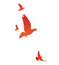 市场监管总局!一批与你生活息息相关的标准正式发布,充电宝、北斗芯片、移动电源……