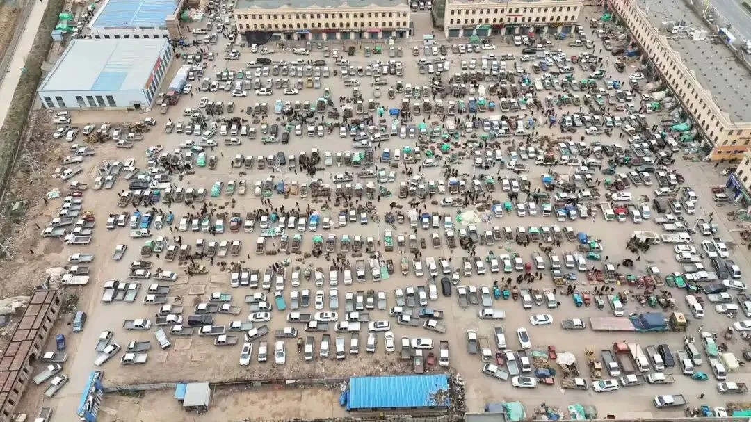 2026年4月20日岷县中药材市场快讯(当归饮片走货不快,成交价格疲软)