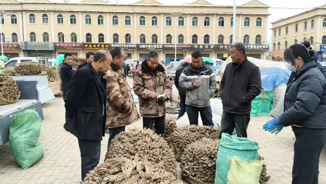 2026年4月20日岷县中药材市场快讯(当归饮片走货不快,成交价格疲软)
