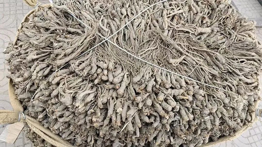 2026年4月20日岷县中药材市场快讯(当归饮片走货不快,成交价格疲软)