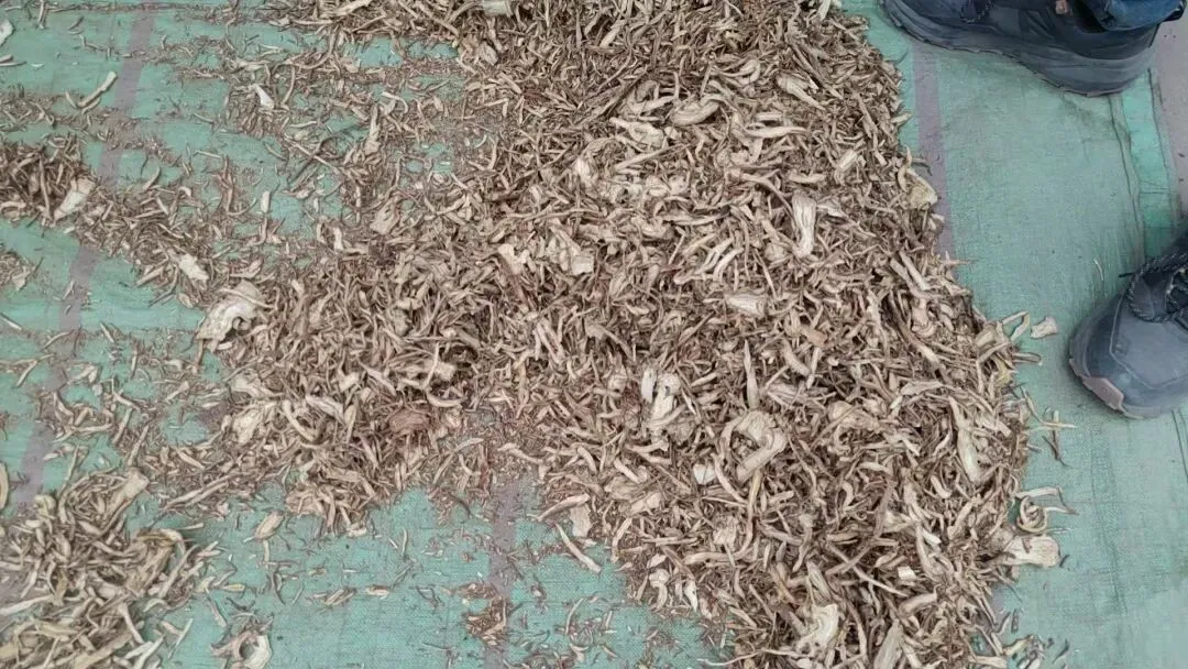 2026年4月20日岷县中药材市场快讯(当归饮片走货不快,成交价格疲软)