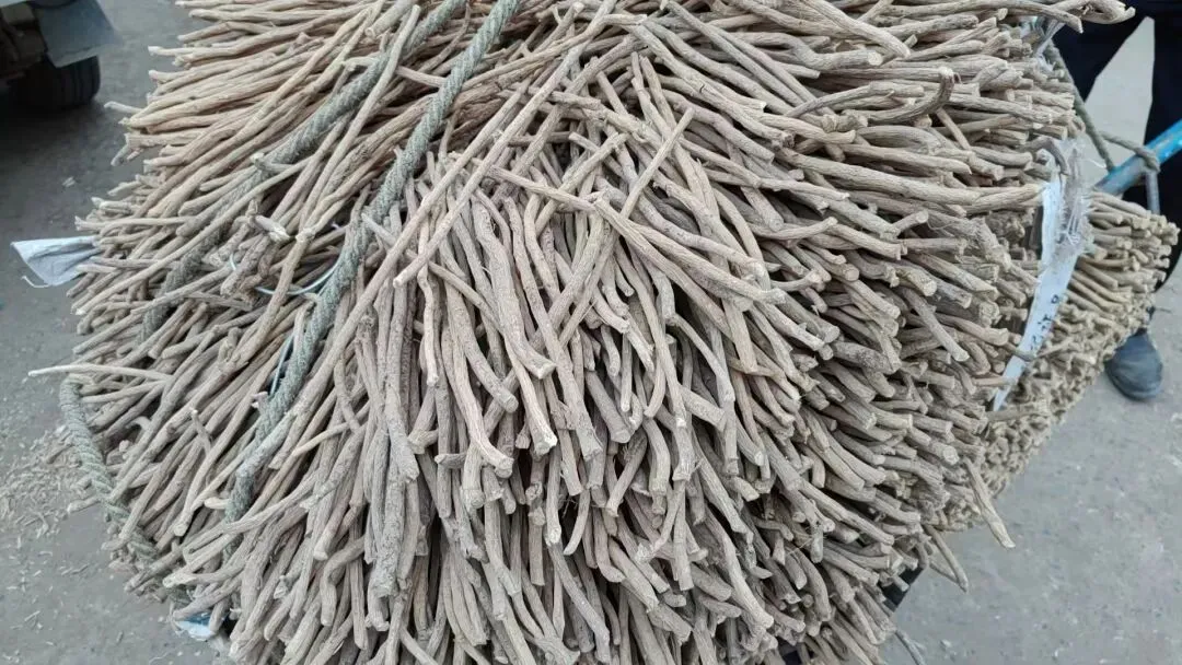 2026年4月20日岷县中药材市场快讯(当归饮片走货不快,成交价格疲软)