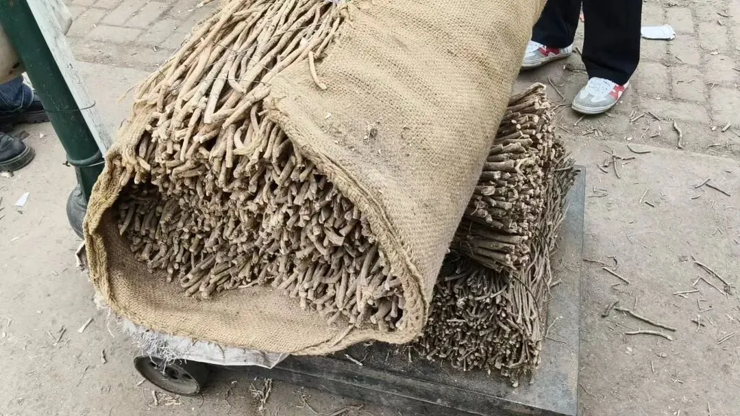 2026年4月20日岷县中药材市场快讯(当归饮片走货不快,成交价格疲软)