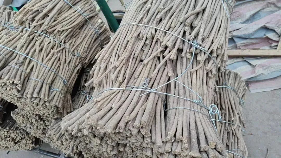 2026年4月20日岷县中药材市场快讯(当归饮片走货不快,成交价格疲软)