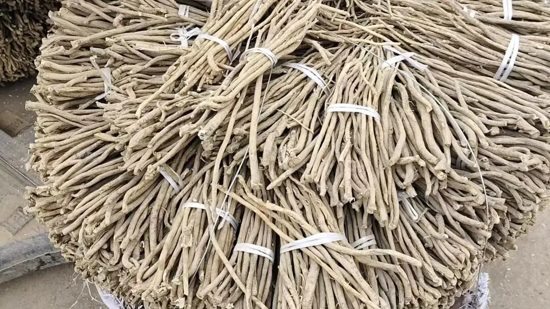 2026年4月20日岷县中药材市场快讯(当归饮片走货不快,成交价格疲软)