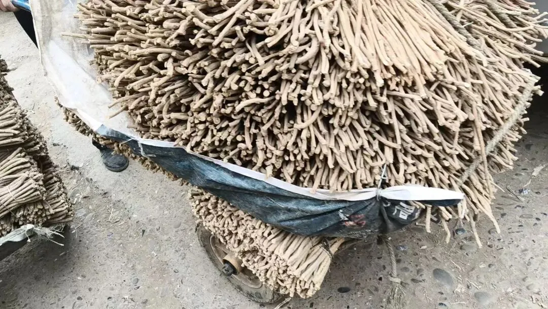 2026年4月20日岷县中药材市场快讯(当归饮片走货不快,成交价格疲软)