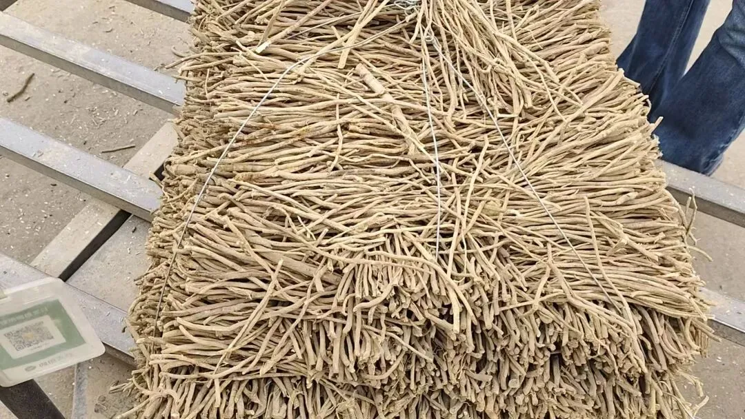 2026年4月20日岷县中药材市场快讯(当归饮片走货不快,成交价格疲软)