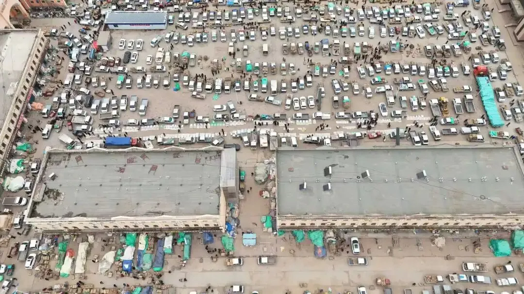 2026年4月20日岷县中药材市场快讯(当归饮片走货不快,成交价格疲软)