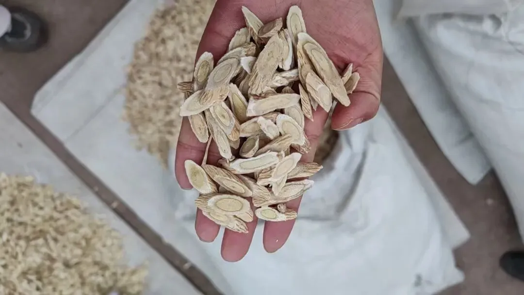 2026年4月20日岷县中药材市场快讯(当归饮片走货不快,成交价格疲软)