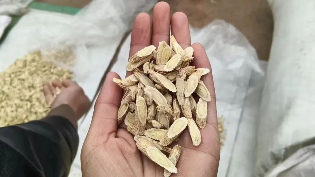 2026年4月20日岷县中药材市场快讯(当归饮片走货不快,成交价格疲软)