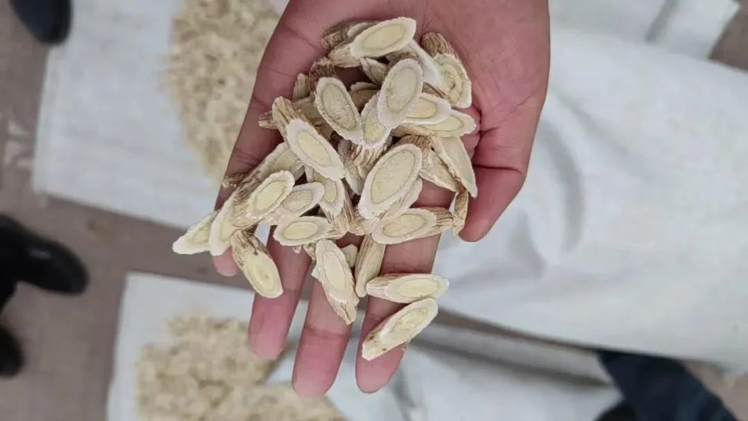 2026年4月20日岷县中药材市场快讯(当归饮片走货不快,成交价格疲软)