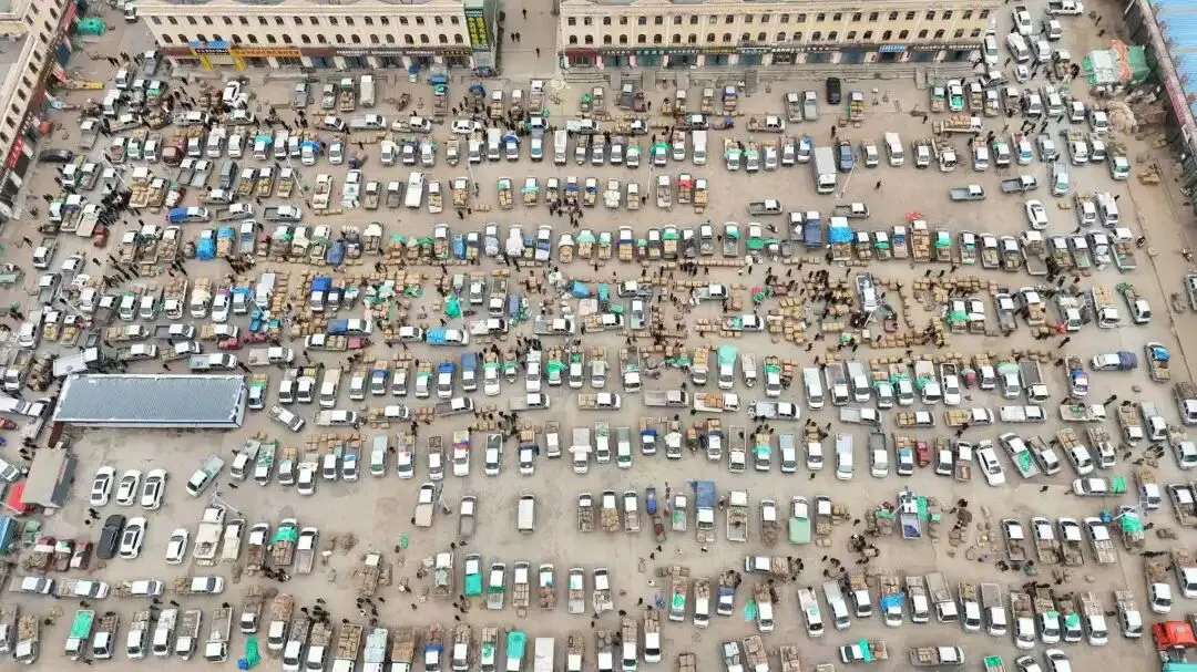 2026年4月20日岷县中药材市场快讯(当归饮片走货不快,成交价格疲软)